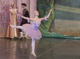 Alfombra de salón rectangular negra moderna Casacolora CCNER