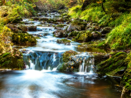 Análisis comparativo: Cava Bach Extrísimo Brut Nature, el champán perfecto para los paladares más exigentes