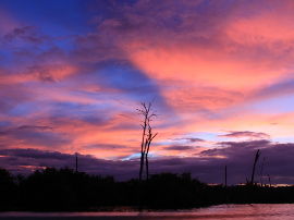 Análisis de cámaras ocultas en español: ¿Cuál es la mejor opción para tu seguridad?