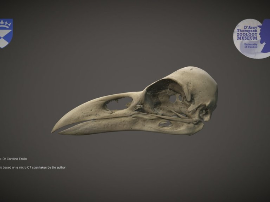 ¿Cuánto Cuesta ZBrush? Guía de Precios Actualizada