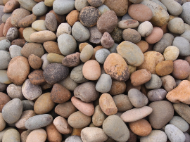 Mostrar productos de la marca Timboo