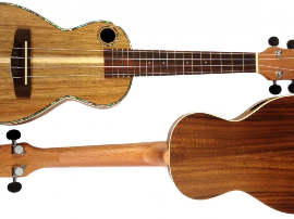 Tipos de Cavaquinho y sus Características