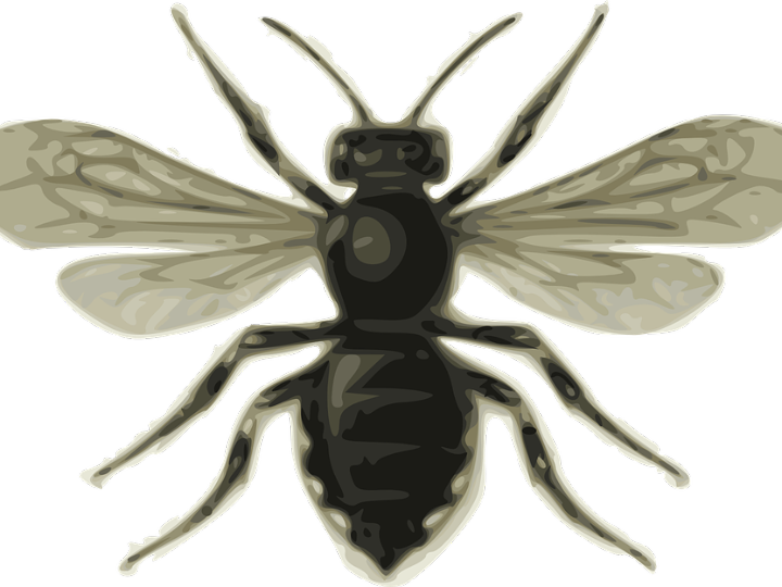 alas negras de murcielago para un disfraz de vampiro en halloween