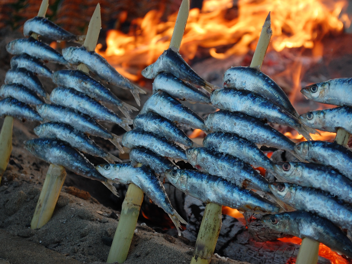 analisis de los mejores juguetes en marbella descubre codigo postal y ventajas exclusivas