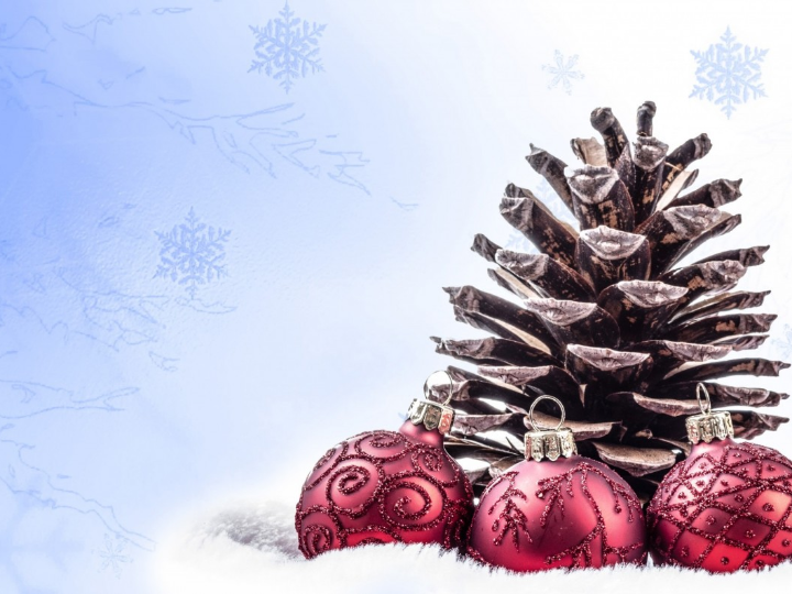 analisis del bolso de fiesta en gris plomo elegancia y versatilidad en tus looks de noche