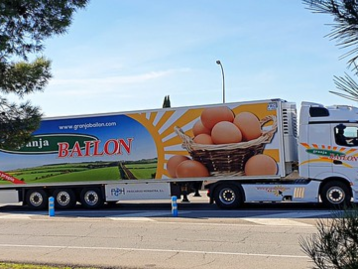 analisis detallado de los frigorificos winia opiniones y comparativas en profundidad