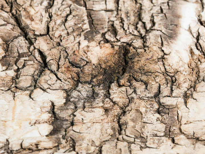 analisis detallado del banador cherry beach idescubre la tendencia perfecta para lucir este verano