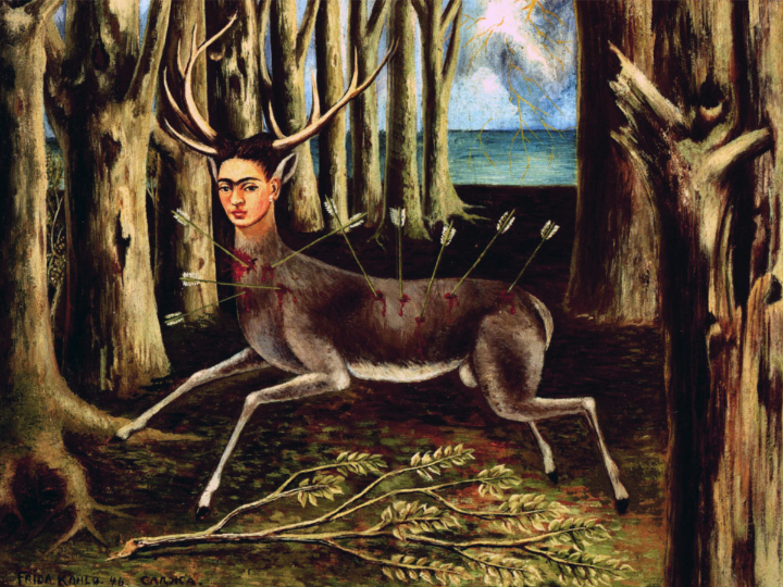 analisis y comparativa cala botella en murcia un tesoro escondido en la costa espanola