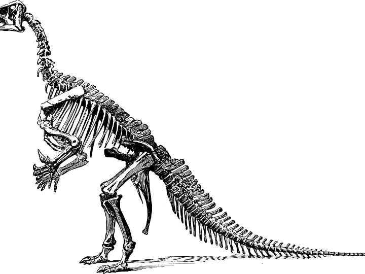 analisis y comparativa de dinosaurios teledirigidos idescubre las ventajas de estos juguetes fascinantes