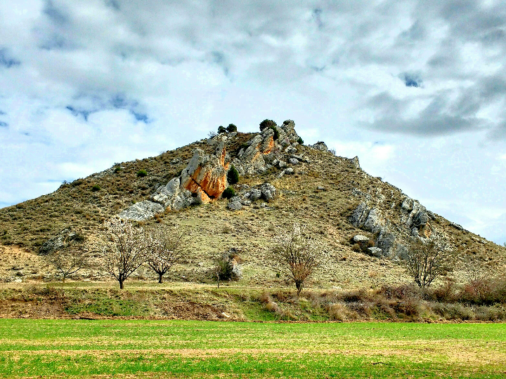 analisis y comparativa de los mejores vinos descubre la mejor ribera del duero calidad precio