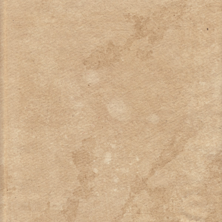 beneficios del cepillado en seco para una piel radiante en verano