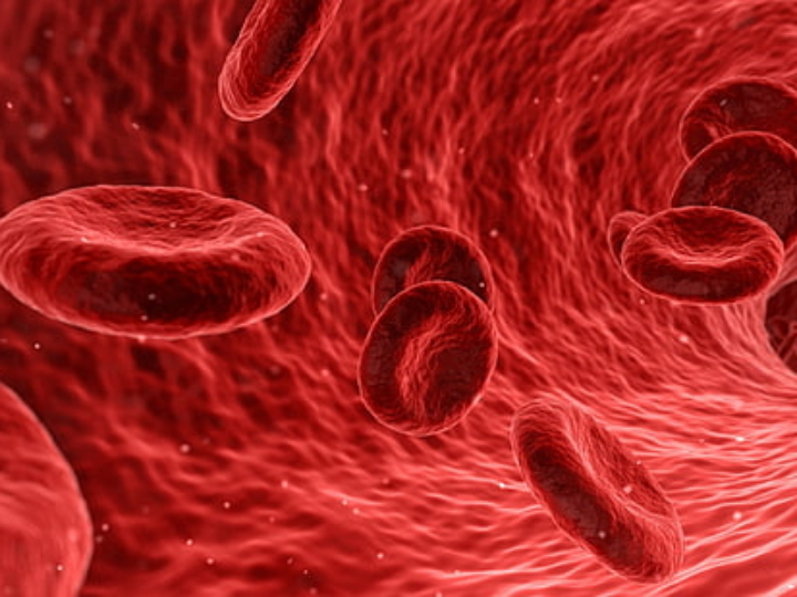 blood flow restriction training