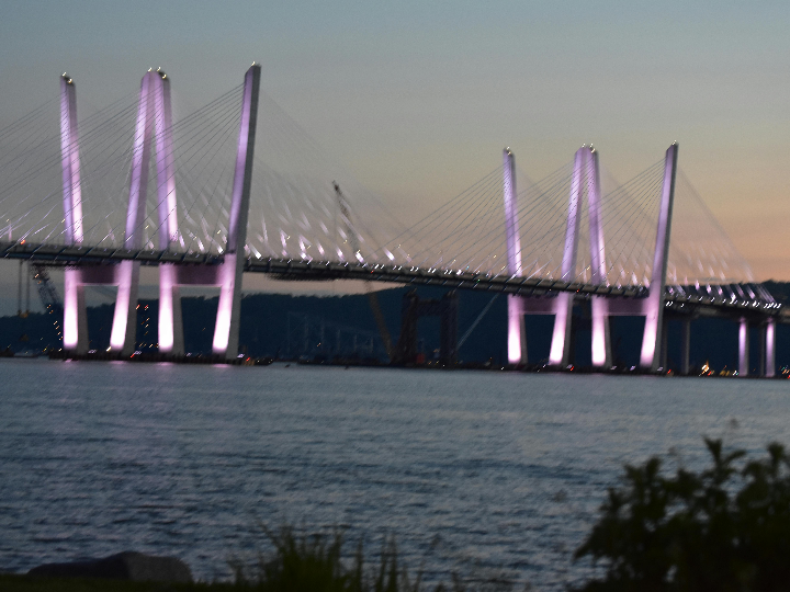 cactus de la tapa amarilla