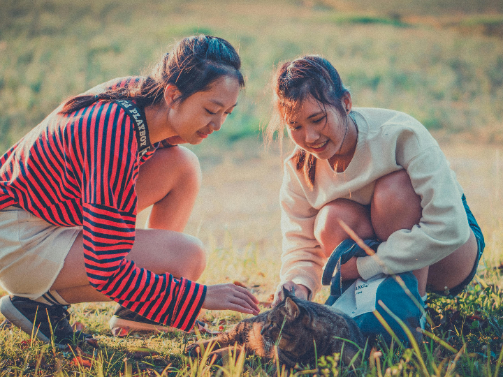 cassoles de fang es necessaria la seva curacio