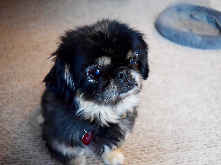 cazas imperiales star wars armada