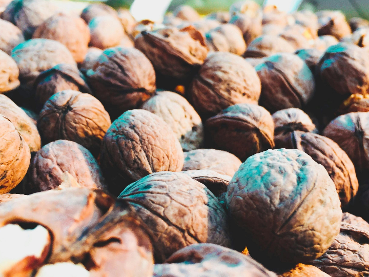 chocolates con frutos secos la mezcla de sabores y texturas