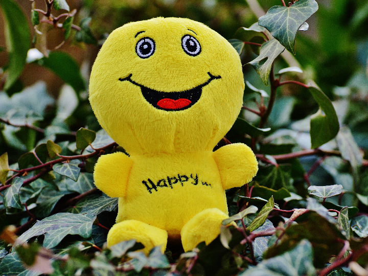 como convertirse en un buen enologo