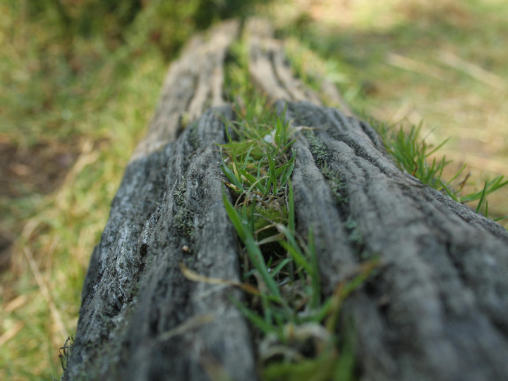 comparativa rain rdy vs gore tex cual es la mejor opcion para tus deportes favoritos