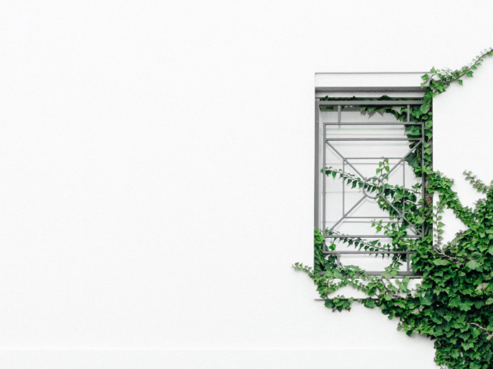 compra productos quigg en linea en espana