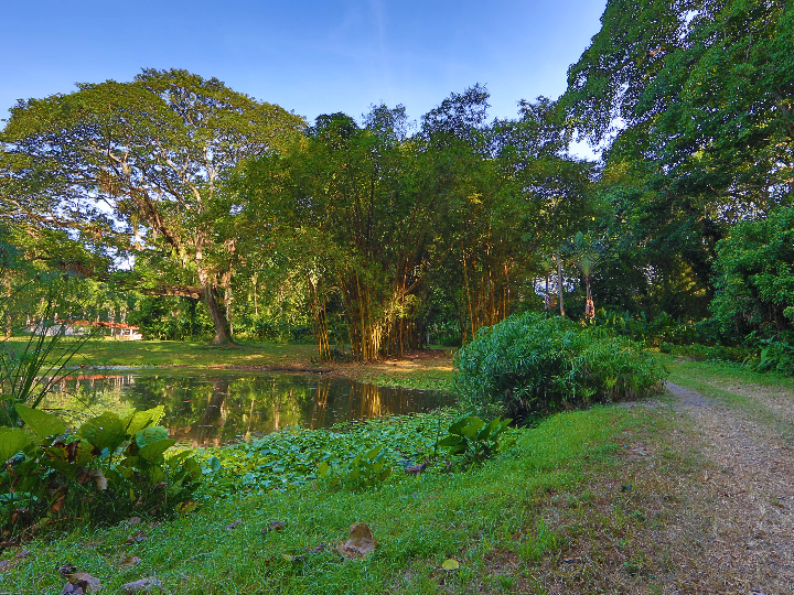 condado de haza reserva 2018