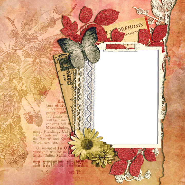 conjunto de 5 cuadros enmarcados hojas estampados collage frame jungle