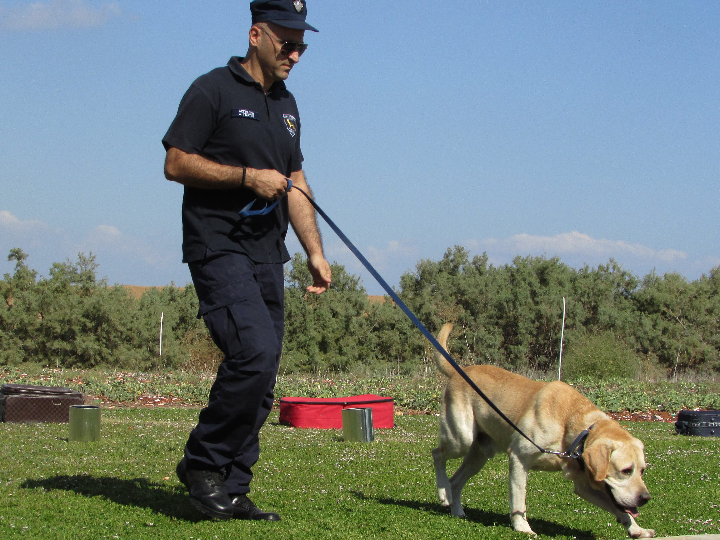 cuales son los olores que atraen a los perros