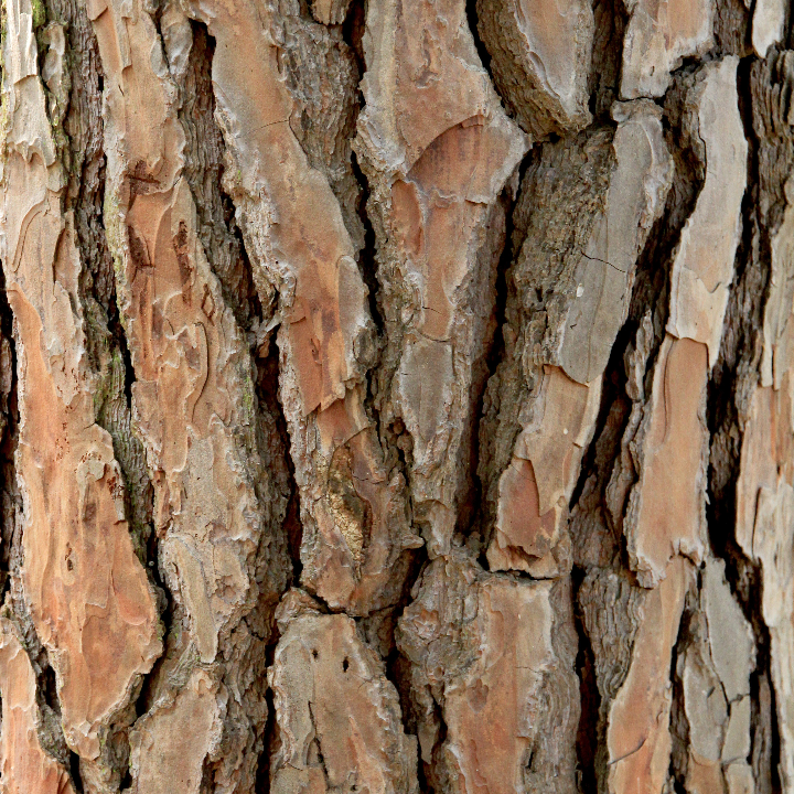 cuchillos de bark river cuchillos hechos a mano para cualquier tarea