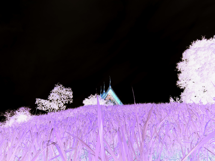 dejate enamorar por la lavanda y aguas cristalinas en la isla de hvar