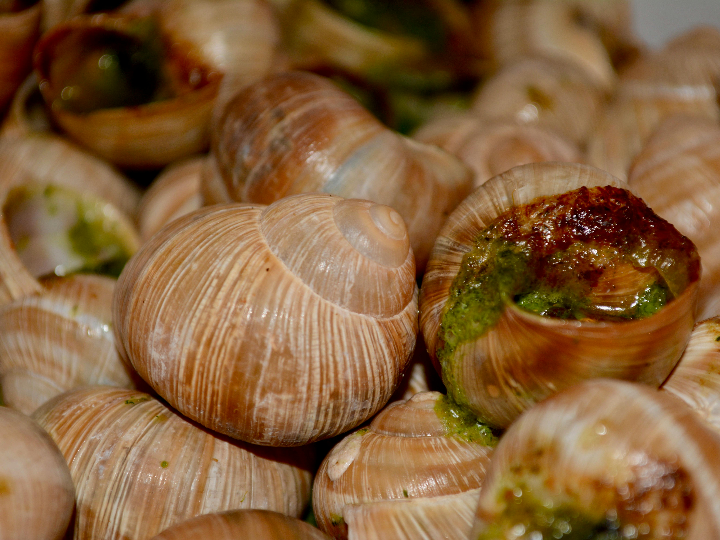 delicatessen francesa descubre el exquisito escargot de bourgogne en este analisis positivo