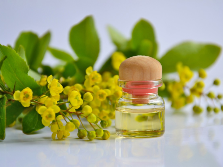 descubre el aceite acalorico mercadona tu opcion saludable