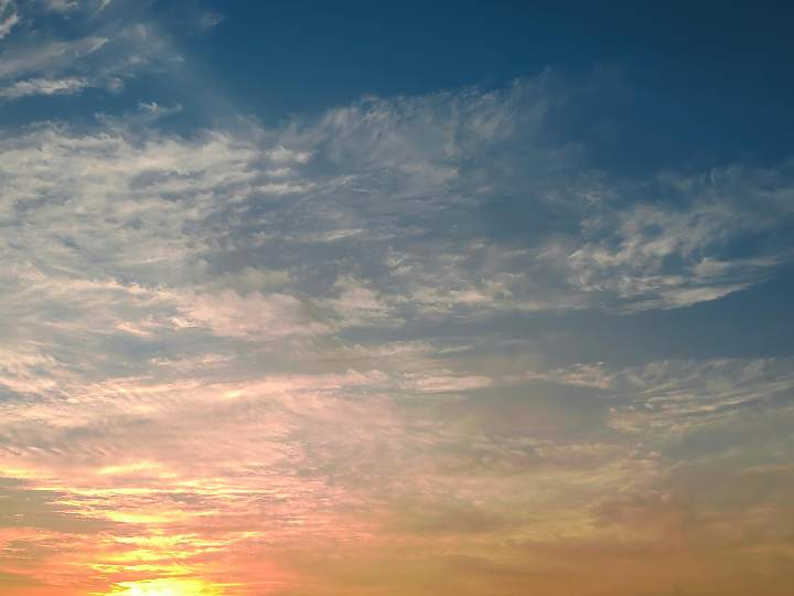 descubre el impresionante poder de maxell analisis positivos de este producto internacional de alimentacion