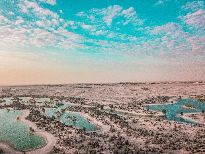 descubre el oasis de sabor analisis positivos del nectar oasis