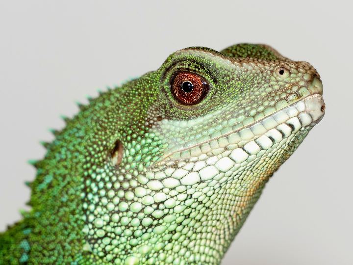 descubre el super chino mas cercano a ti analisis y comparativa de los mejores productos asiaticos disponibles