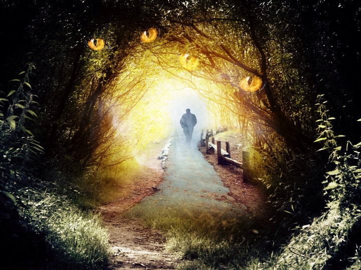 descubre la magia de una tetera