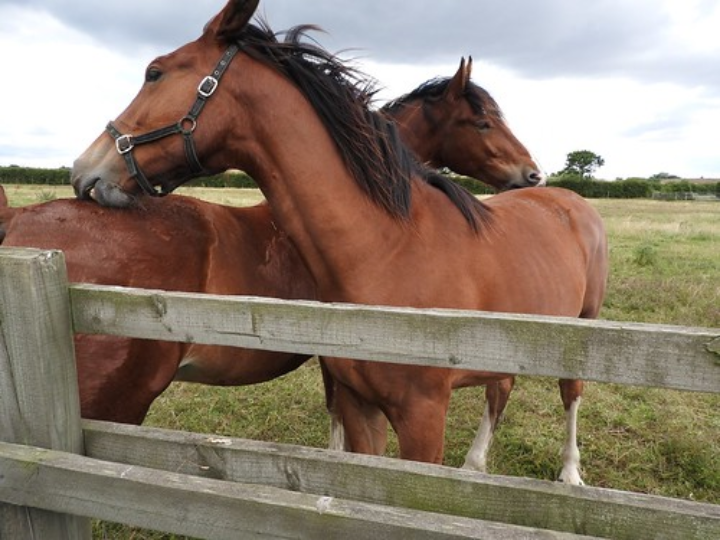 descubre la moda inclusiva de yours clothing espana analisis de sus prendas y complementos