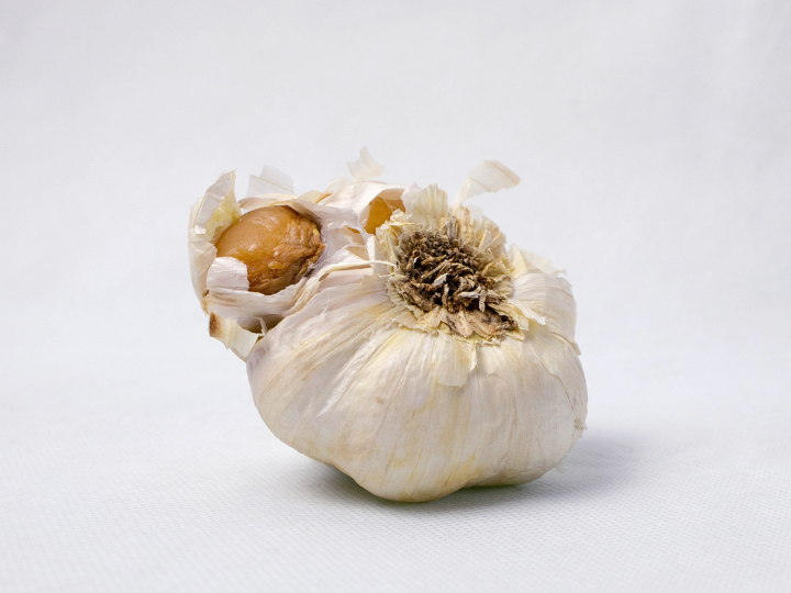 descubre los beneficios del haricot blanc una joya culinaria internacional en tu mesa