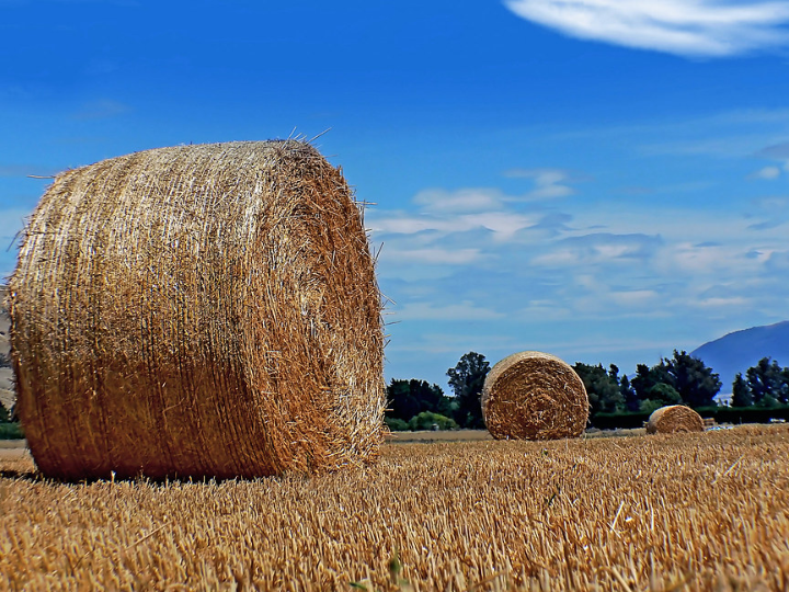 downlight ip66 max big round led 17 3 3000k gris urbano 1684lm at14 18w9f1bbz5