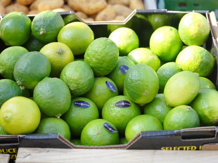el arbol de feijoa cultivo propiedades y beneficios