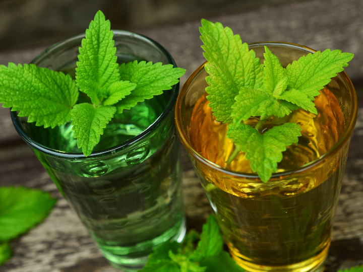 el balsamo de sillin