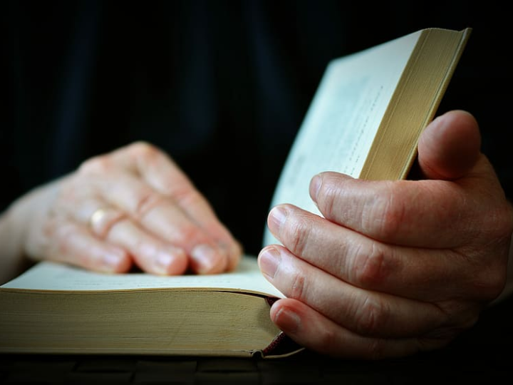 el libro de las marcas