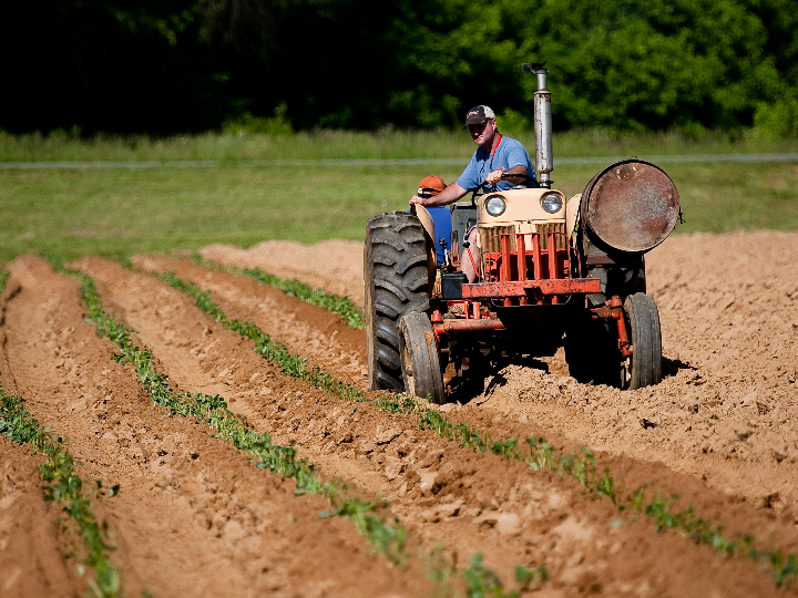 el sector agricola es rentable