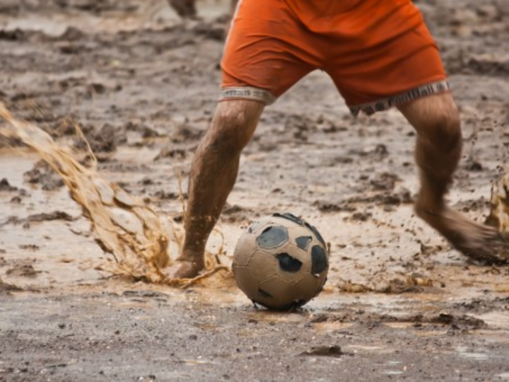 farshore el mundo costero del juego de mesa everdell