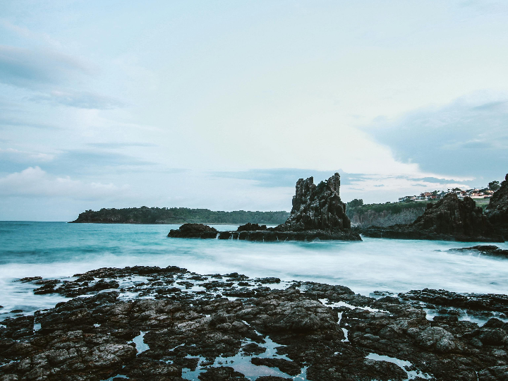 filadelfo belle etoile boerenjasmijn