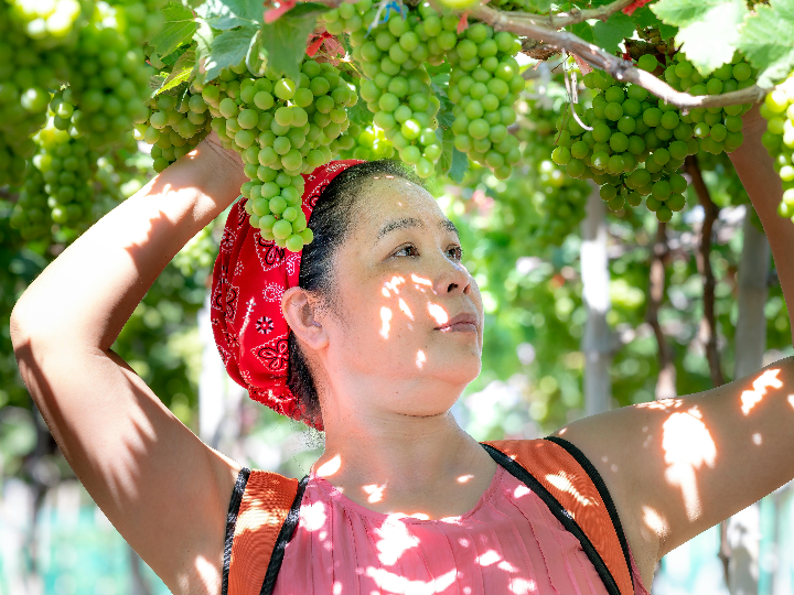 flavdrops mercadona dale sabor a tus comidas con nuestras gotas aromaticas