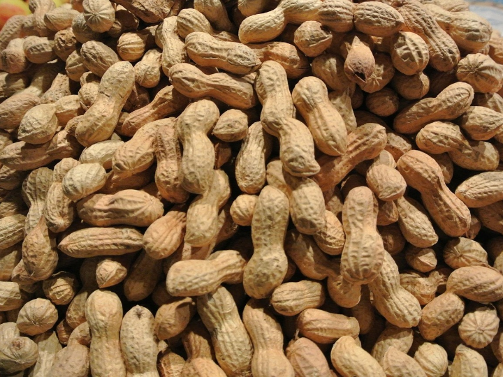 frutos secos ensalada mercadona