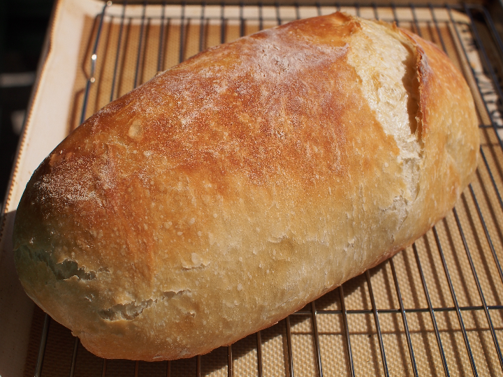guia completa para activar levadura seca en recetas sin gluten analisis y comparativa de los mejores metodos