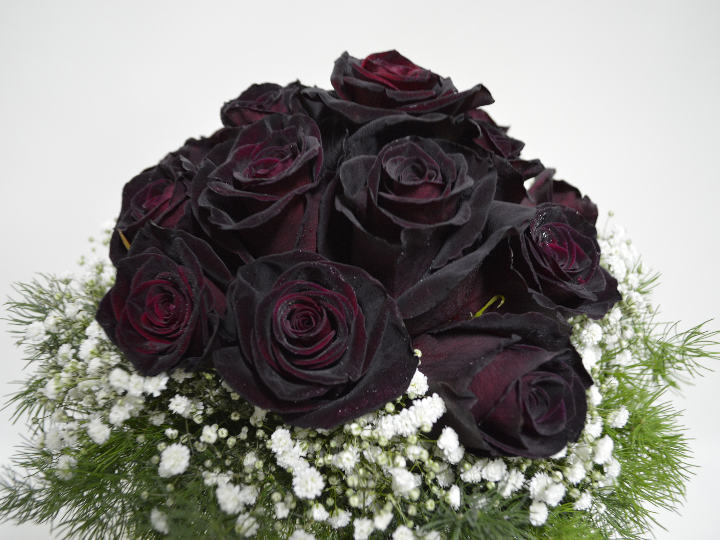 halfeti entre rosas negras y pueblos hundidos