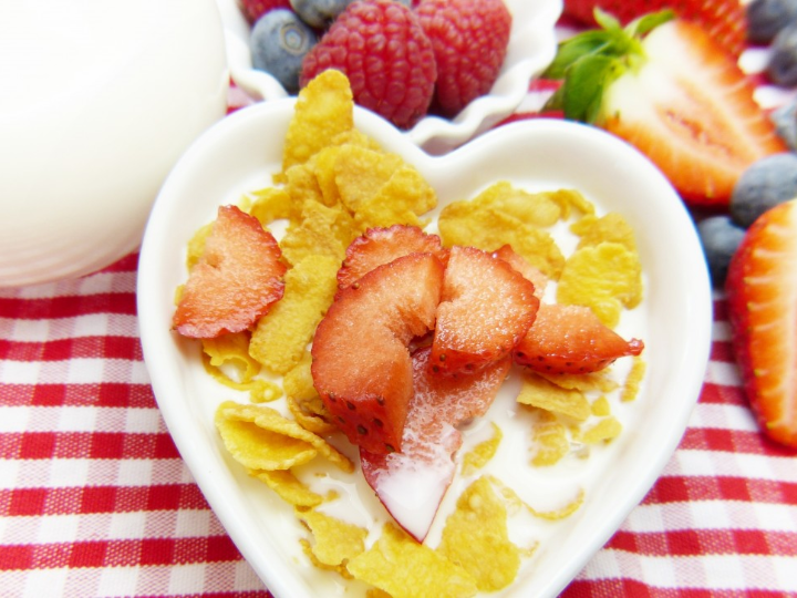 hipp leche de iniciacion 1 bio combiotiko 600 g