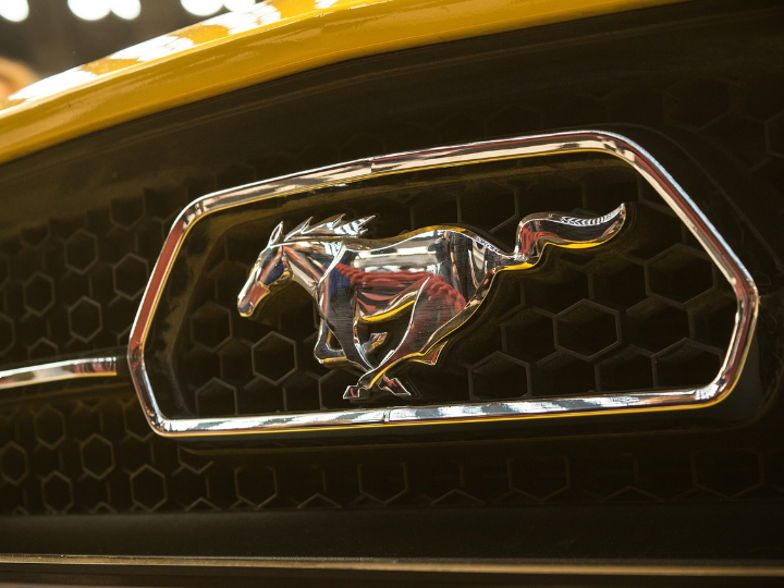 huevo en polvo mercadona la opcion ideal para tus recetas