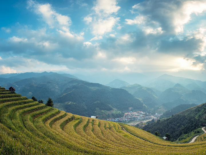 idescubre el mejor jjamppong asiatico del mercado analisis y comparativa de los mejores productos